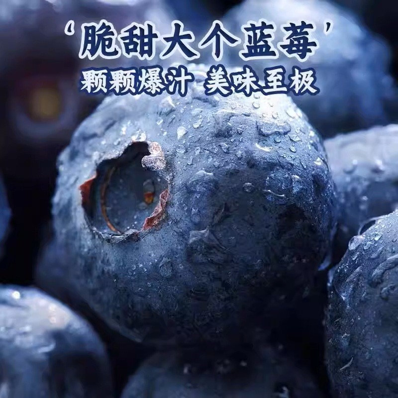 合正宗云南花香25蓝莓商超精品果澄江抚仙湖基地顺丰/京东空运