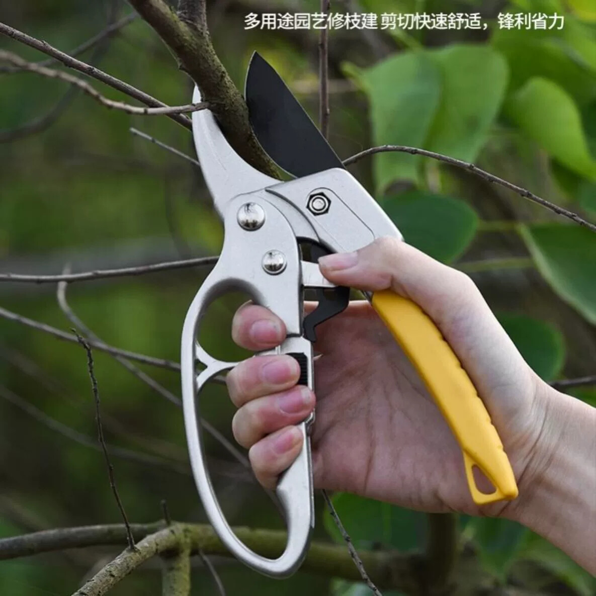 果树修枝剪刀分段式专业省力园艺修剪树枝园林修花枝剪粗枝剪子