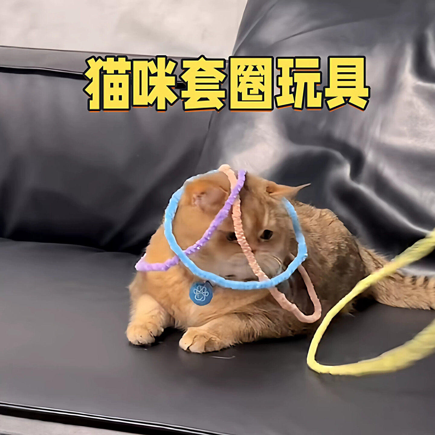 diy套圈猫咪玩具逗猫互动神器手工扭扭棒材料包超轻宠物游戏