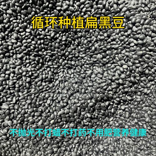 25年新扁黑豆农家自种老品种肾形小粒黄芯黑豆不打药不抛光蜡