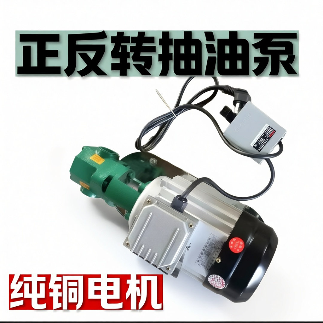 正反转自吸式齿轮泵电动抽油泵柴油机油食用油液压油220V便携式泵