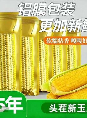 【头茬大棒8斤左右】东北金铝箔黄金糯玉米280-350克 12只（试吃4