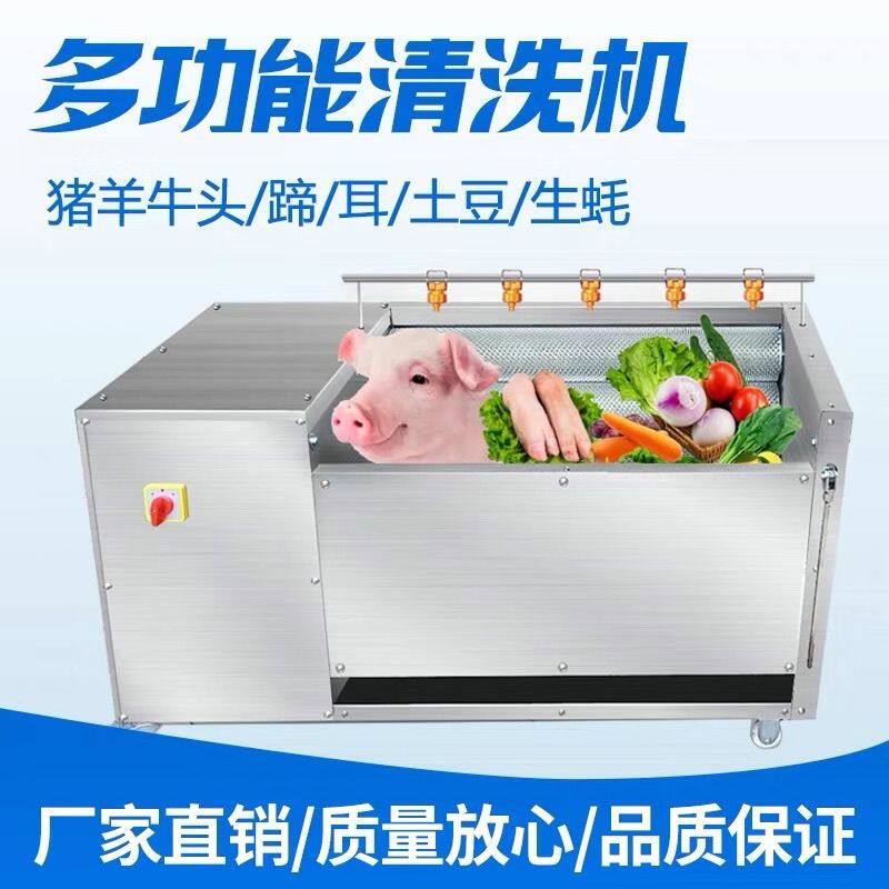 全自动猪蹄清洗机牛羊头耳朵去黑机生蚝洗肉机去黑火烧猪脚清洗机