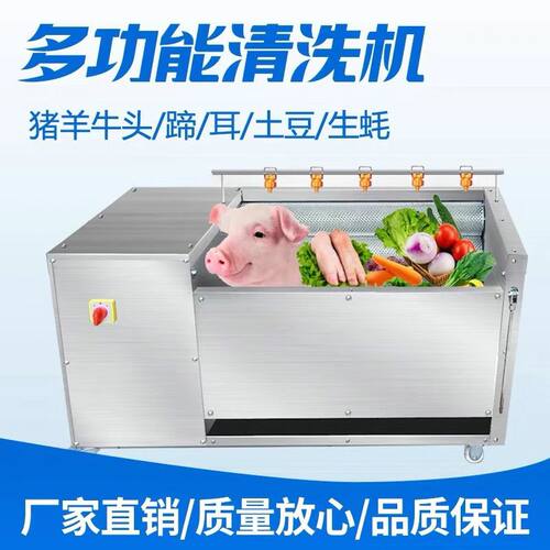 全自动猪蹄清洗机牛羊头耳朵去黑机生蚝洗肉机去黑火烧猪脚清洗机