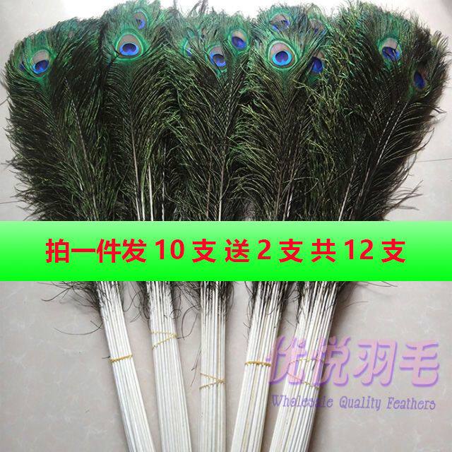 进口纯天然真孔雀羽毛翎尾大眼睛 花瓶家居摆设 客厅装饰 DIY配件