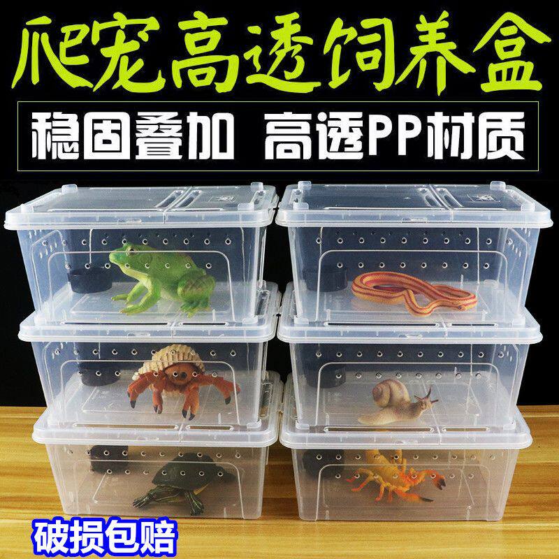 鼠妇饲养盒爬虫饲养盒宠物蜗牛活物爬宠箱寄居蟹蜘蛛蝎子角蛙蜥蜴