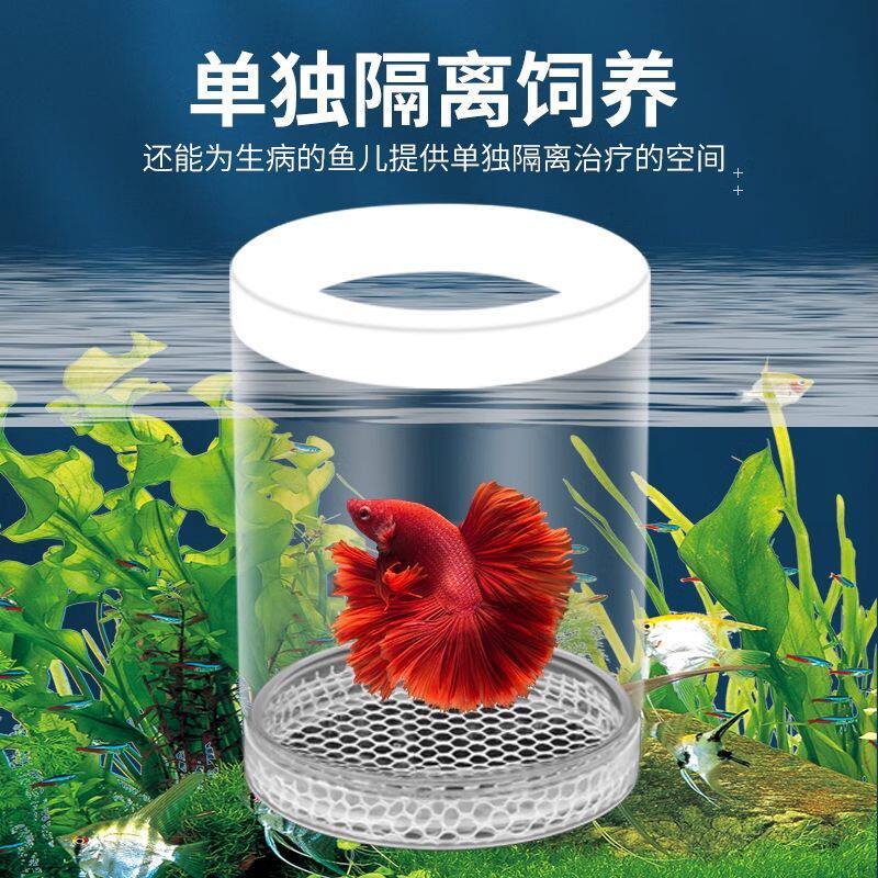悬浮式隔离繁殖盒孔雀鱼幼鱼独立孵化培育箱