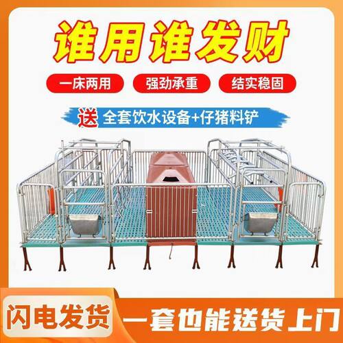 双体母猪产床保育床一体产保两用床养殖设备猪用产保单体分娩床