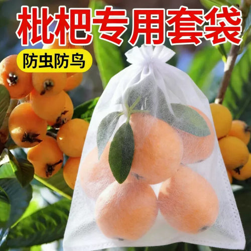 枇杷专用防虫套袋水果露天专用防鸟防水雨瓜果枇杷无纺布抽绳套袋