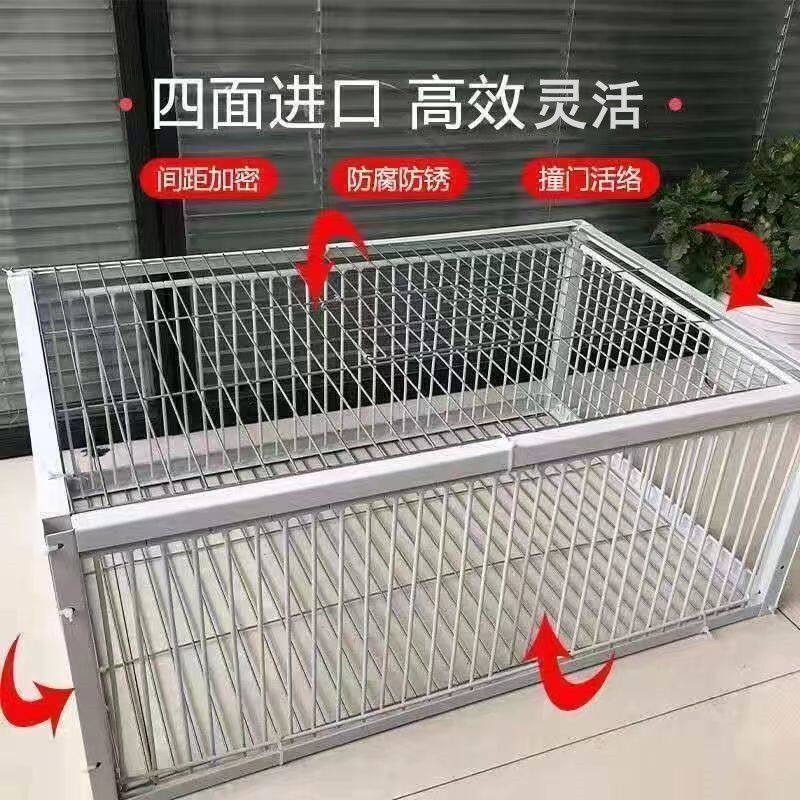 跳笼 信鸽赛鸽用品用具 鸽棚鸽舍 只进不出跳笼 放飞笼门折叠鸟笼
