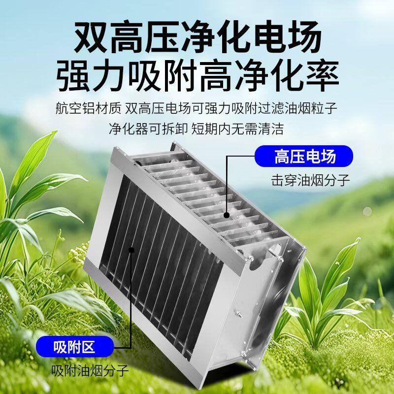 车载烧烤车无烟净化烧烤车一体机摆摊专用碳烤无烟烧烤炉净化车