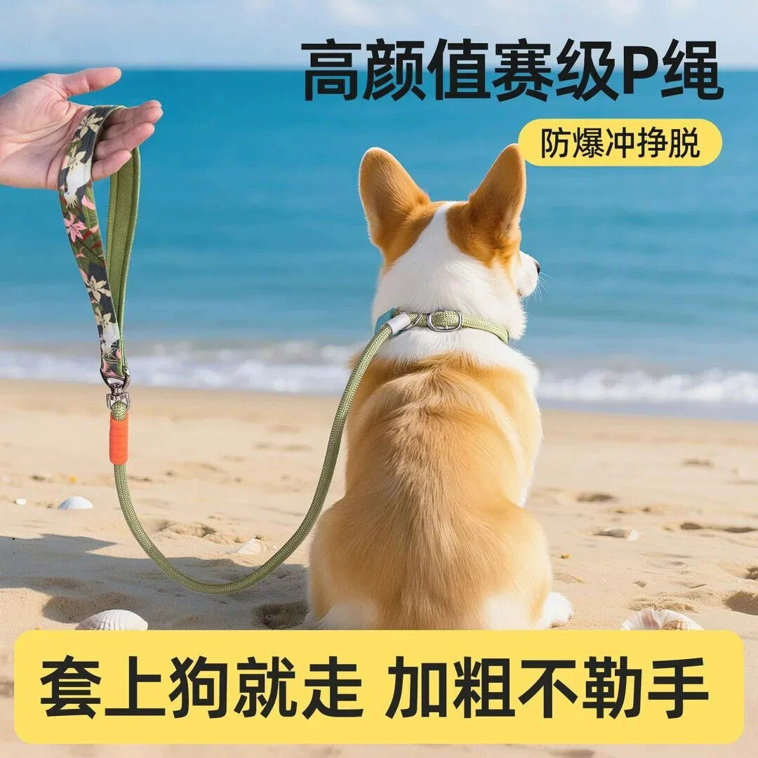 赛级P链P绳狗狗牵引绳项圈式防爆冲大中小型犬训练遛狗绳子栓狗链