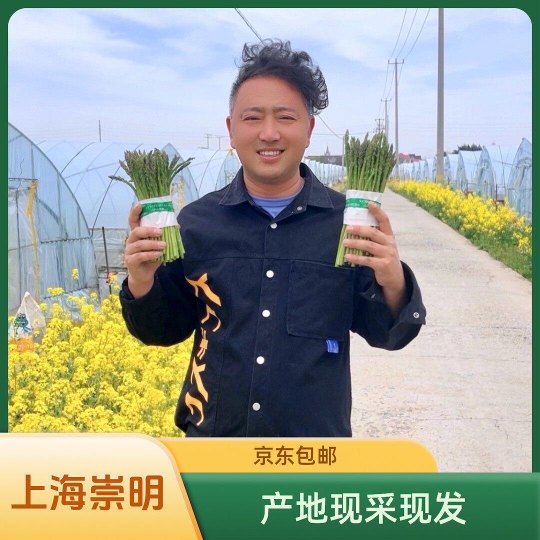 细笋3斤上海崇明 细笋顺丰包邮 包饺子专用 新鲜芦笋  现采现发
