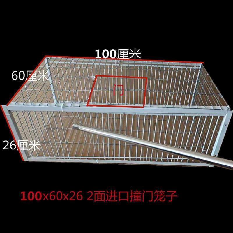 新款鸽子天落笼全自动只进不出收鸽笼鸽子回收器进口撞门加密