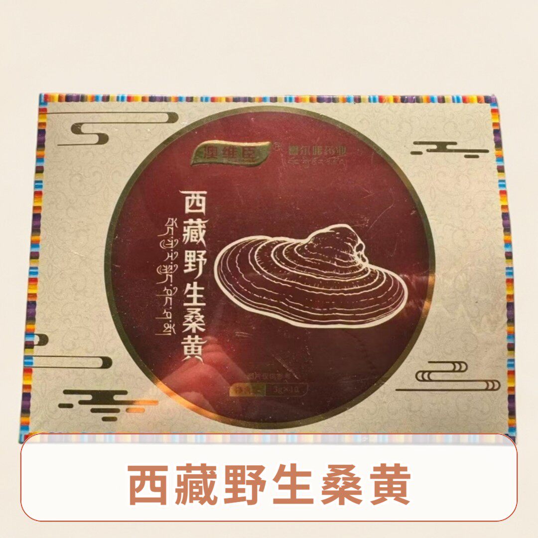 西藏野生桑黄30g/盒-8