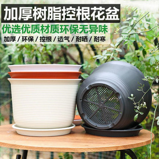 长寿花专用花盆树脂仿陶瓷控根花盆高颜值家用透气长寿花蓝莓大口