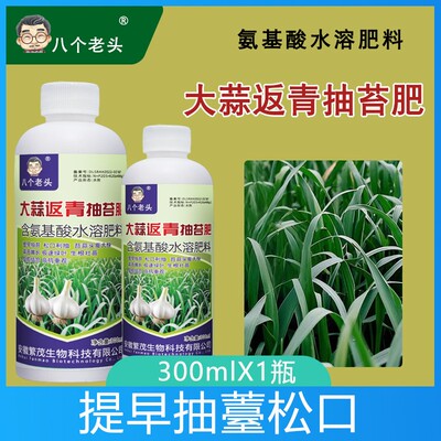 大蒜返青抽苔肥增高产叶面专用种植胖大蒜薹粗早熟水溶肥