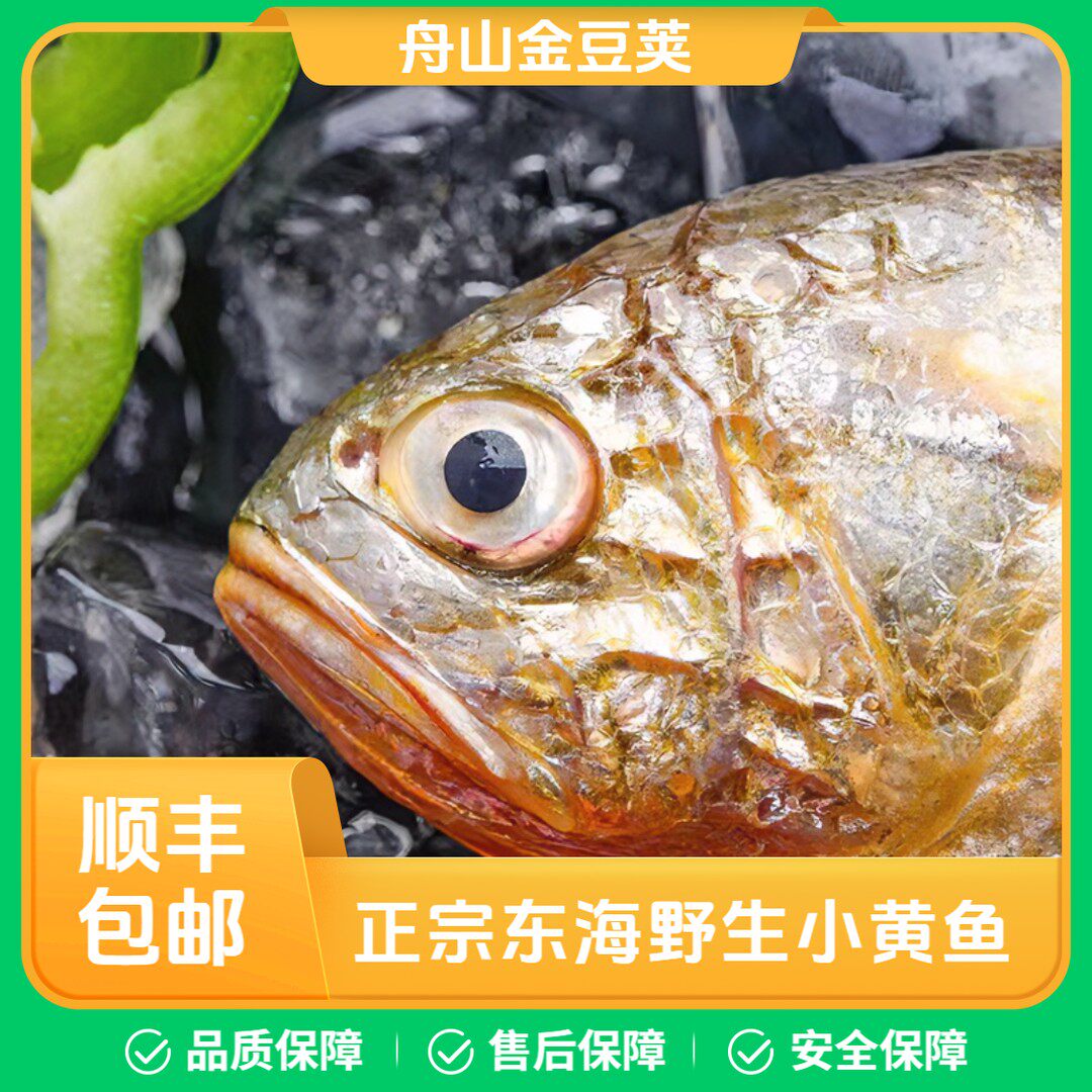 【速冻锁鲜】舟山东海野生小黄鱼深海鱼7条装/盒 舟山发货
