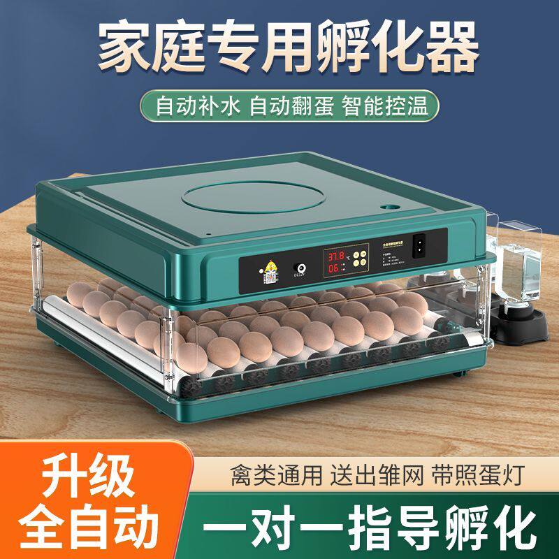 维谦禽类孵化箱小型家用全自动智能孵化机鸡鸭鹅鹌孵蛋机鹑孵蛋器