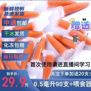 丰年虾幼虫孔雀鱼迷你鹦鹉鱼灯科鱼小鱼苗开口饲料大红卵