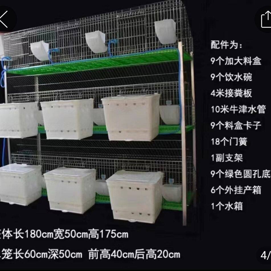 包邮兔笼自动清粪兔笼热镀锌丝子母笼具兔笼兔子笼子兔笼笼子母笼