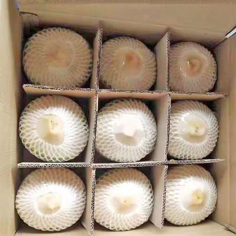 海南椰青9个装新鲜椰青天然特产海南产地直发送开椰器吸管