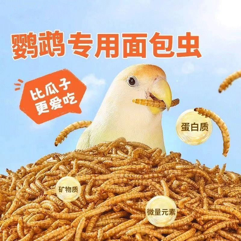 虎皮鹦鹉面包虫干鸟粮零食绣眼幼鸟斑鸠鸟食用玄凤八哥专用鹦鹉粮