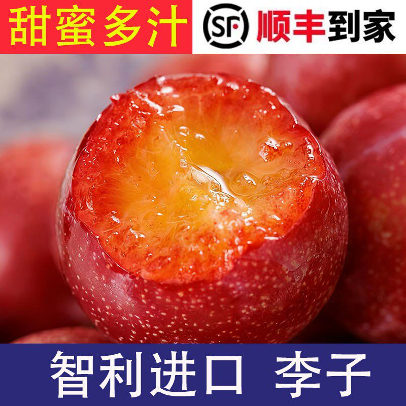 顺丰包邮智利进口太阳李李子1斤-5斤新鲜孕妇水果
