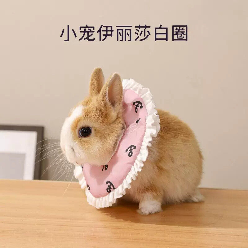 伊丽莎白圈兔子蜜袋鼯防舔防护圈荷兰猪仓鼠小宠头套项圈宠物用品