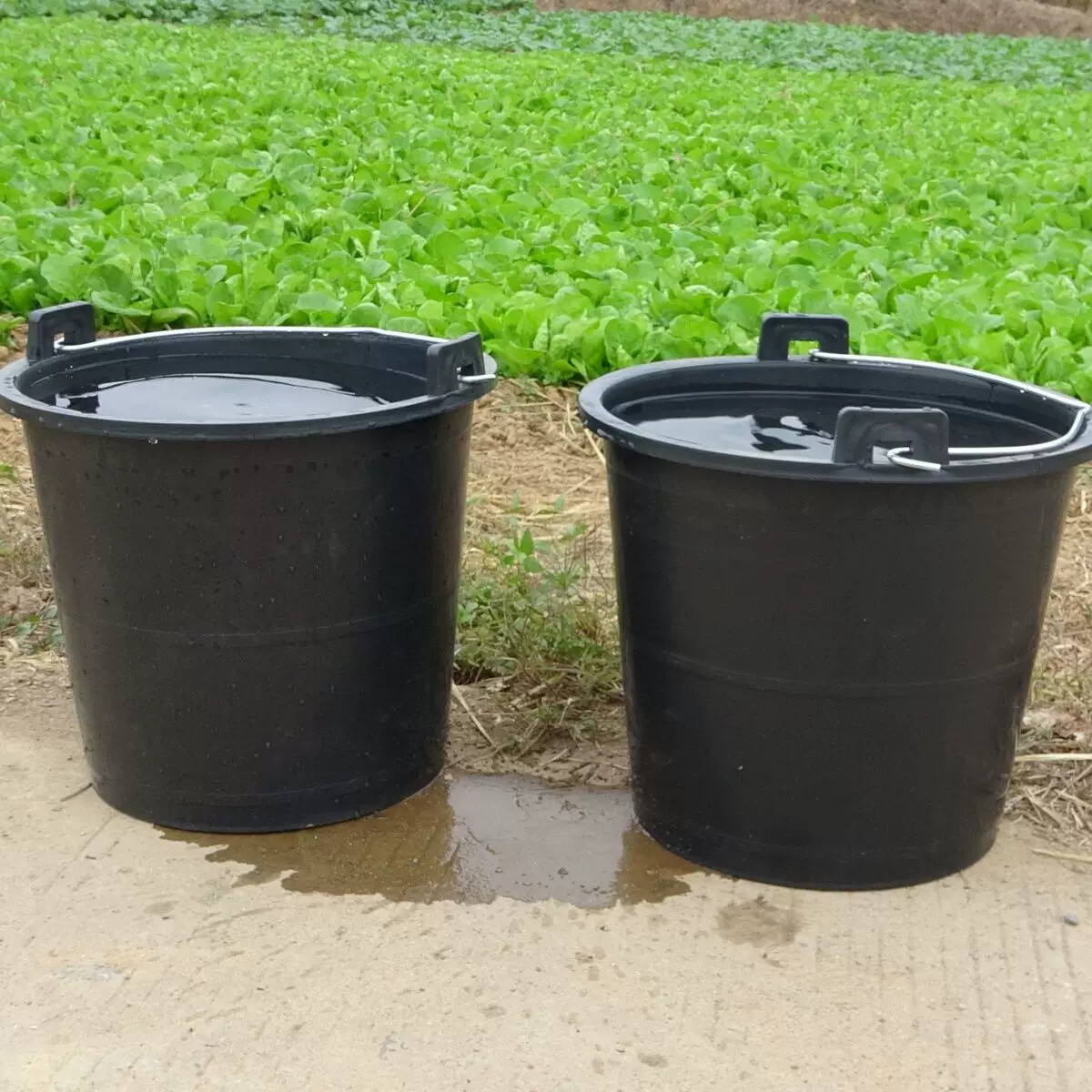 农用熟胶桶粪桶尿桶挑水桶种菜桶种花盆牛筋桶塑料桶诱蜂