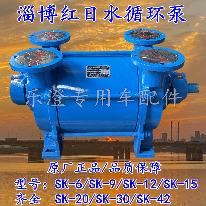 程力随州吸污车粪车抽粪泵淄博红日真空泵SK12水循环抽泣泵15配件