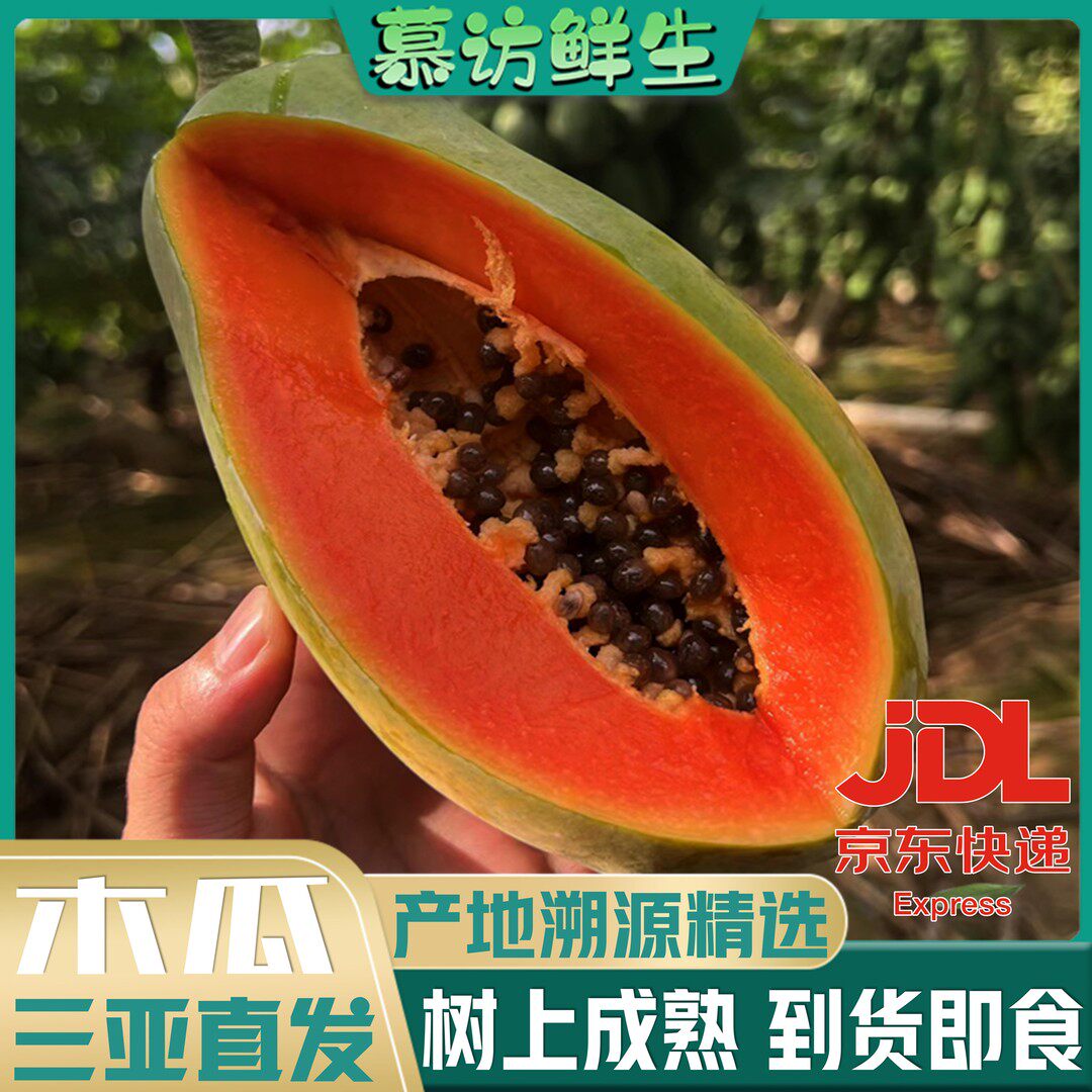 产地直发海南三亚树上熟红心牛奶木瓜新鲜采摘产地直发