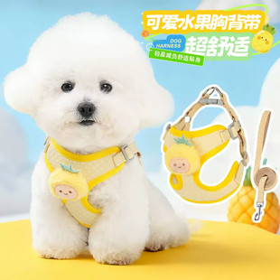 狗狗牵引绳小型犬背心式胸背带泰迪比熊博美遛狗绳水果菠萝图狗链