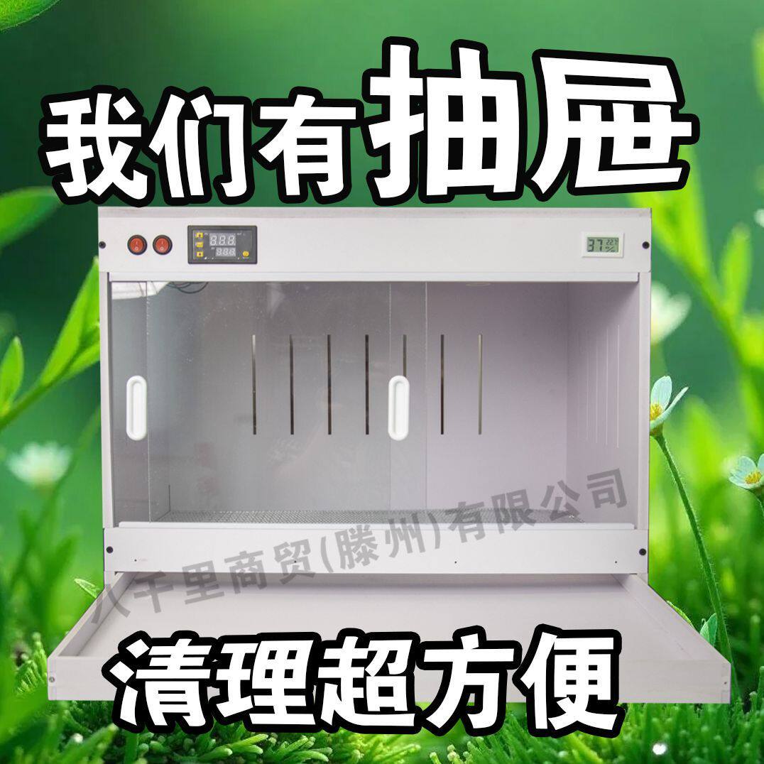 智能温控带抽屉pvc恒温饲养箱鬃狮蜥芦丁鸡爬宠保温加热角守宫龟