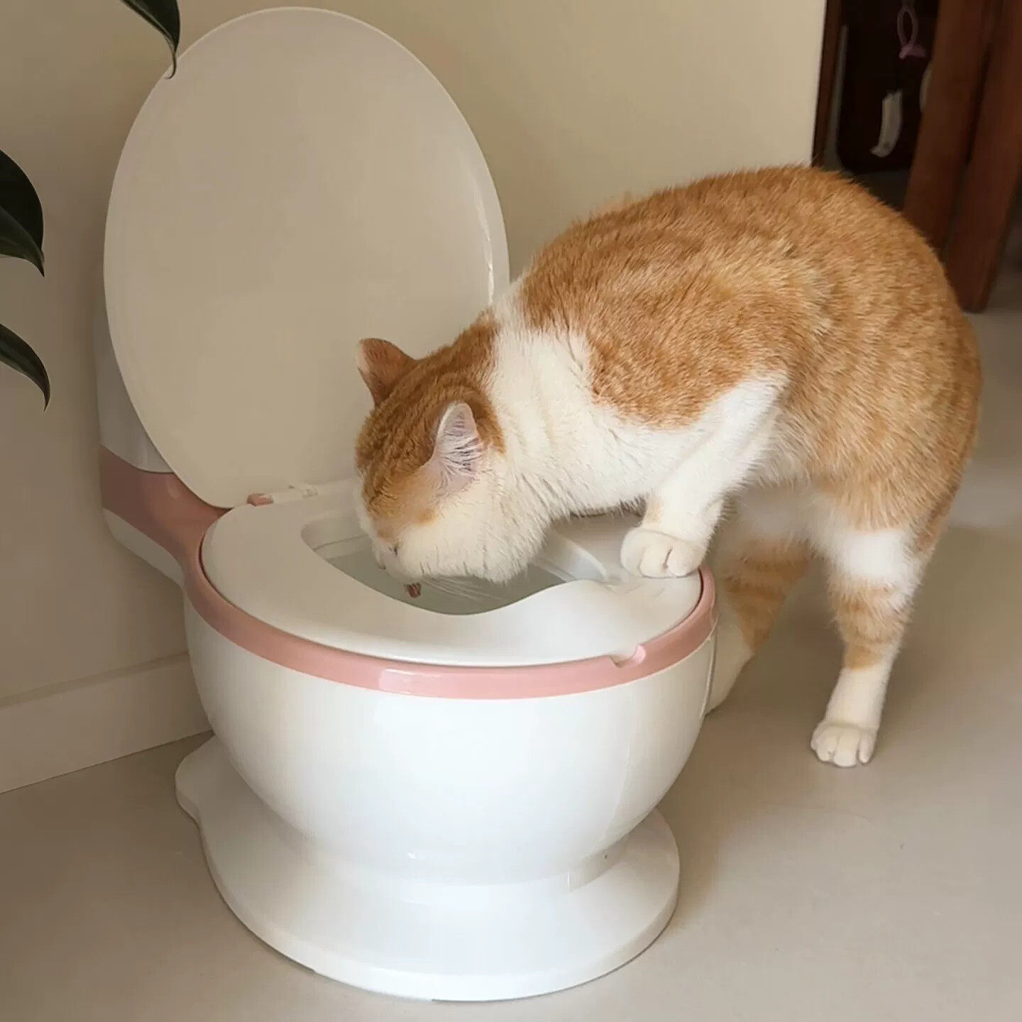 马桶形猫碗不易打翻大口径高脚宠物碗吸引猫咪喝水神器2025年新款