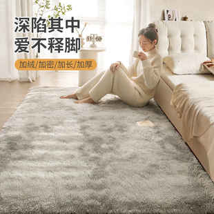 地毯卧室冬天毛毯地垫客厅2025新款高级感长绒毛厚房间秋冬床边毯