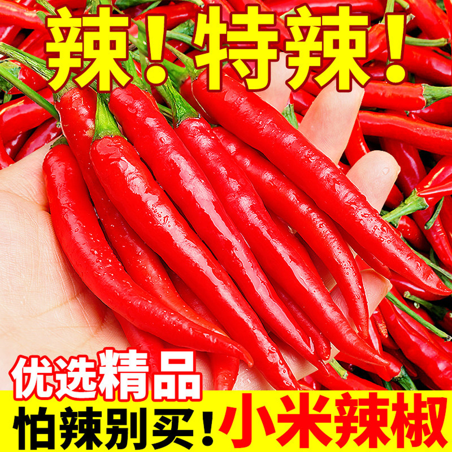 精选品质!现摘小米椒!辣味十足
