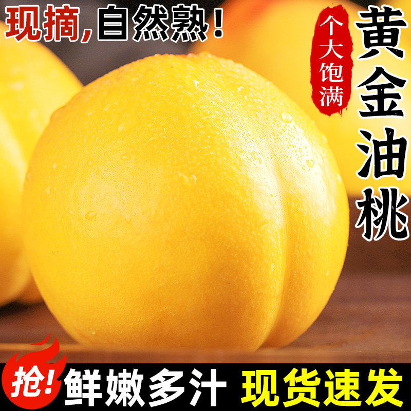 黄金油桃5斤新鲜桃子水果应当季现摘黄肉蜜桃脆甜桃时令大果包邮