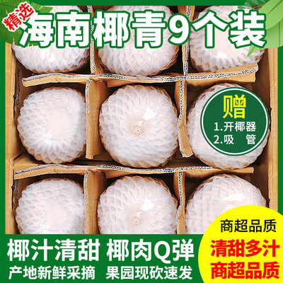 【精品推荐】海南椰青！清甜多汁