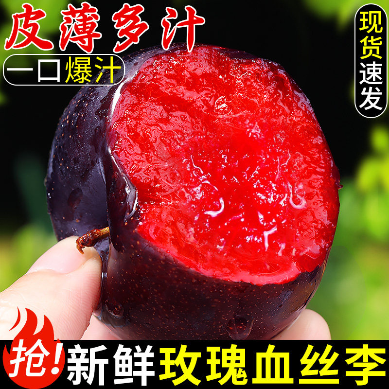 玫瑰血丝李新鲜李子5斤应当季现摘红心李子黑布林红肉恐龙蛋整箱