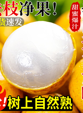 泰国进口龙眼新鲜桂圆当季水果现摘鲜甜龙眼非石峡老树果整箱包邮