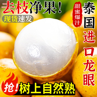 包邮 泰国进口龙眼新鲜桂圆当季 水果现摘鲜甜龙眼非石峡老树果整箱