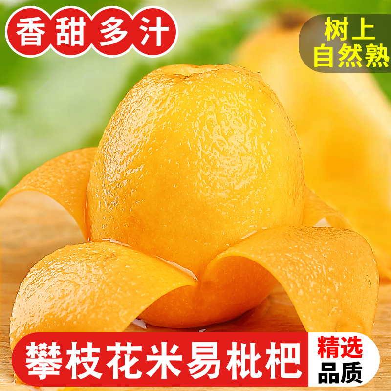 攀枝花米易枇杷新鲜5斤当季现摘农家甜枇杷水果整箱大琵琶果包邮