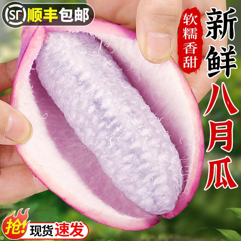 【珍稀水果】现摘!新鲜八月瓜!
