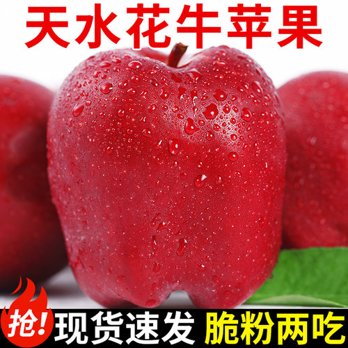精选品质!天水花牛苹果!粉糯香甜