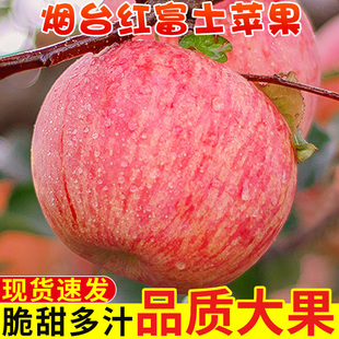 正宗山东烟台红富士苹果新鲜水果应当季现摘脆甜栖霞苹果整箱包邮