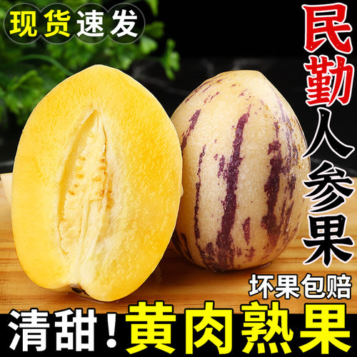 【精选树上熟】民勤沙漠人参果！