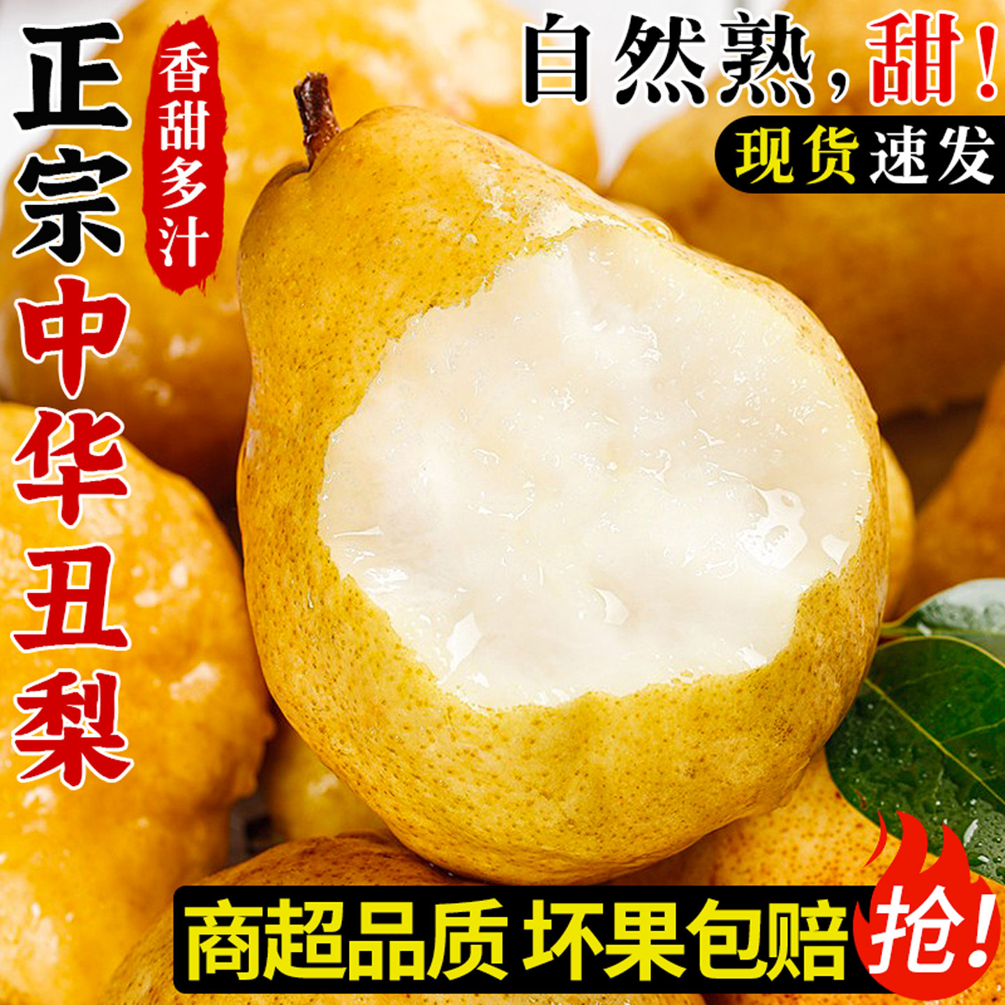 精选品质!中华丑梨!软糯香甜