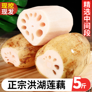 正宗洪湖莲藕5斤装新鲜现挖脆藕煲汤藕粉藕糯米湖北特产九孔3包邮