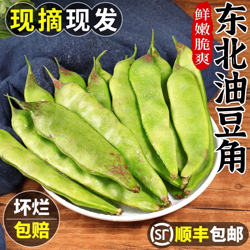 现摘!正宗东北油豆角!精品挑选
